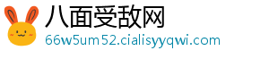 八面受敌网